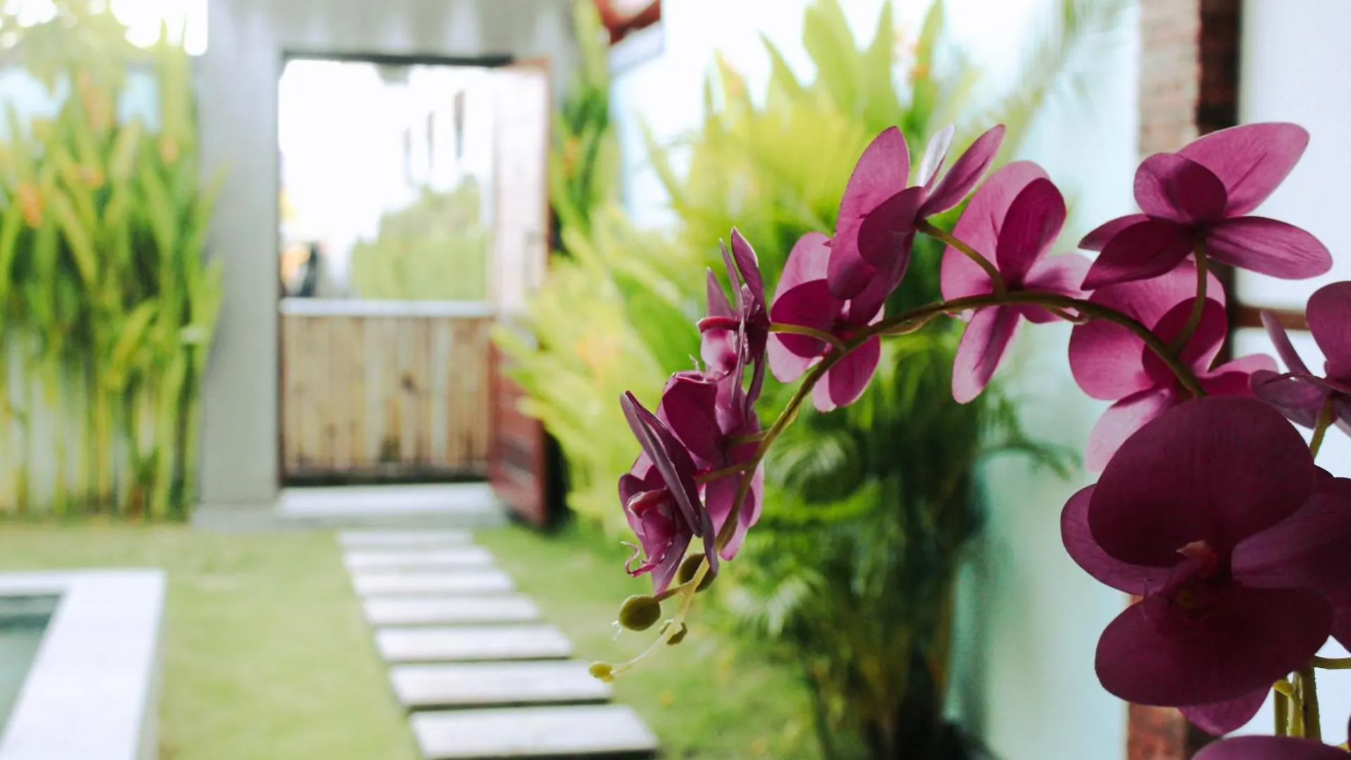 Sejati Villas - Petitenget Seminyak Indonesië
